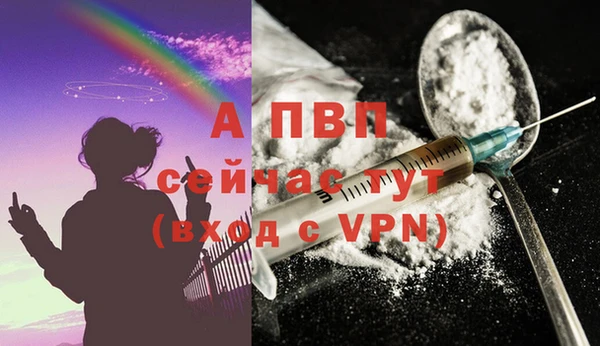 крисы Алексин