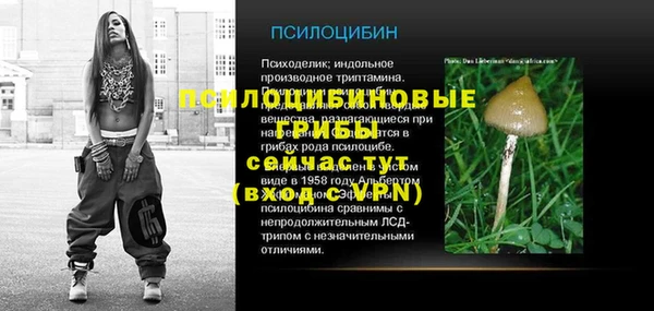 эйфоретик Алзамай