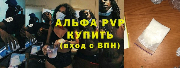 крисы Алексин